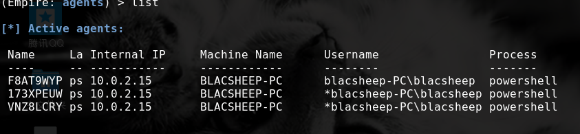 blacsheep